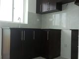Apartment Rent in Colombo 6