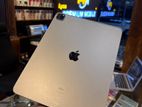 Apple 256 GB (Used)