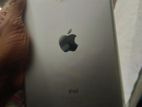 Apple ipad Mini