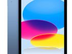 APPLE I PAD A16 CELLULAR 256GB