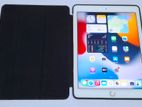 Apple iPad Air 2 with Smart Case