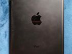 iPad Mini