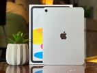 Apple iPad 10th Gen 256GB (Wi-Fi + Cellular)