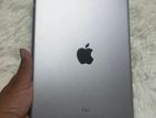 Apple Ipad 6th Gen