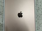 Apple ipad 8th Generation (Used)