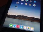 Apple iPad 9th Gen 256GB (Used)