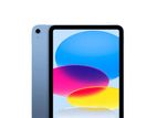 Apple ipad A16 256 Cell