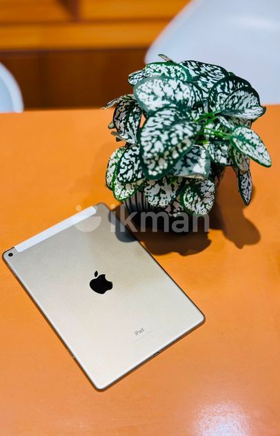 Apple Model Check Apple iPad Air 2 | ikman