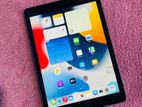 Apple iPad Air 2