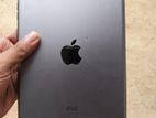 Apple ipad