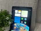 Apple iPad
