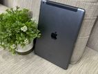 Apple iPad