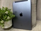 Apple iPad