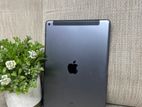 Apple iPad