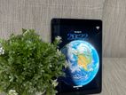 Apple iPad