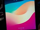 Apple iPad