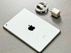 Apple iPad Mini 16GB