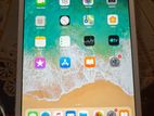 Apple ipad mini 2