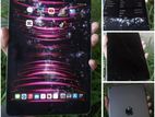 Apple iPad Mini 256GB (Used)