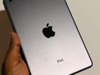 Apple iPad Mini (Wifi)
