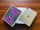 Apple iPad Pro M2 12.9 inch 256GB CEL