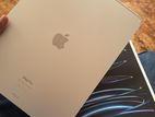 Apple iPad Pro M2 12.9 inch