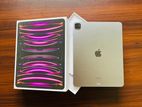 Apple iPad Pro M2 (4th Gen) CEL 11-inch