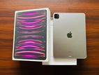 Apple iPad Pro M2 (4th Gen) CEL 11-inch