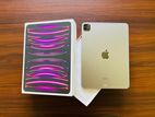 Apple iPad Pro M2 (4th Gen) CEL 11-inch