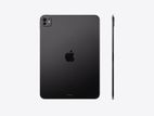 Apple iPad Pro M5 13 Inch WIFI 256GB|1
