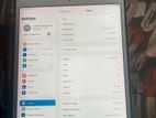 Apple ipad pro (Used)