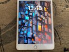 Apple iPad Mini 5 (Used)