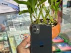 Apple iPhone 11 128GB (Used)