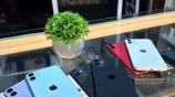 Apple iPhone 11 128GB (Used)