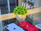 Apple iPhone 11 128GB (Used)