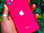 Apple iPhone 11 128GB (Used)