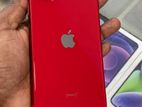 Apple iPhone 11 (Used)