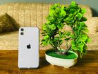 Apple iPhone 11 256GB (Used)