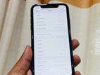 Apple iPhone 11 64GB (Used)