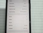 Apple iPhone 11 64GB (Used)