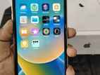 Apple iPhone 11 64GB (Used)