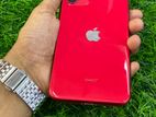 Apple iPhone 11 (Used)