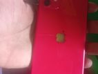 Apple iPhone 11 (Used)