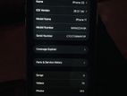 Apple iPhone 11 (Used)