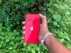 Apple iPhone 11 (Used)
