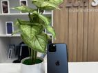Apple iPhone 11 Pro 256GB (Used)