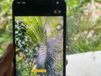 Apple iPhone 11 Pro Max (Used)