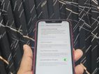 Apple iPhone 11 (Used)