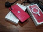Apple iPhone 11 (Used)