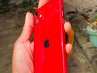 Apple iPhone 11 (Used)